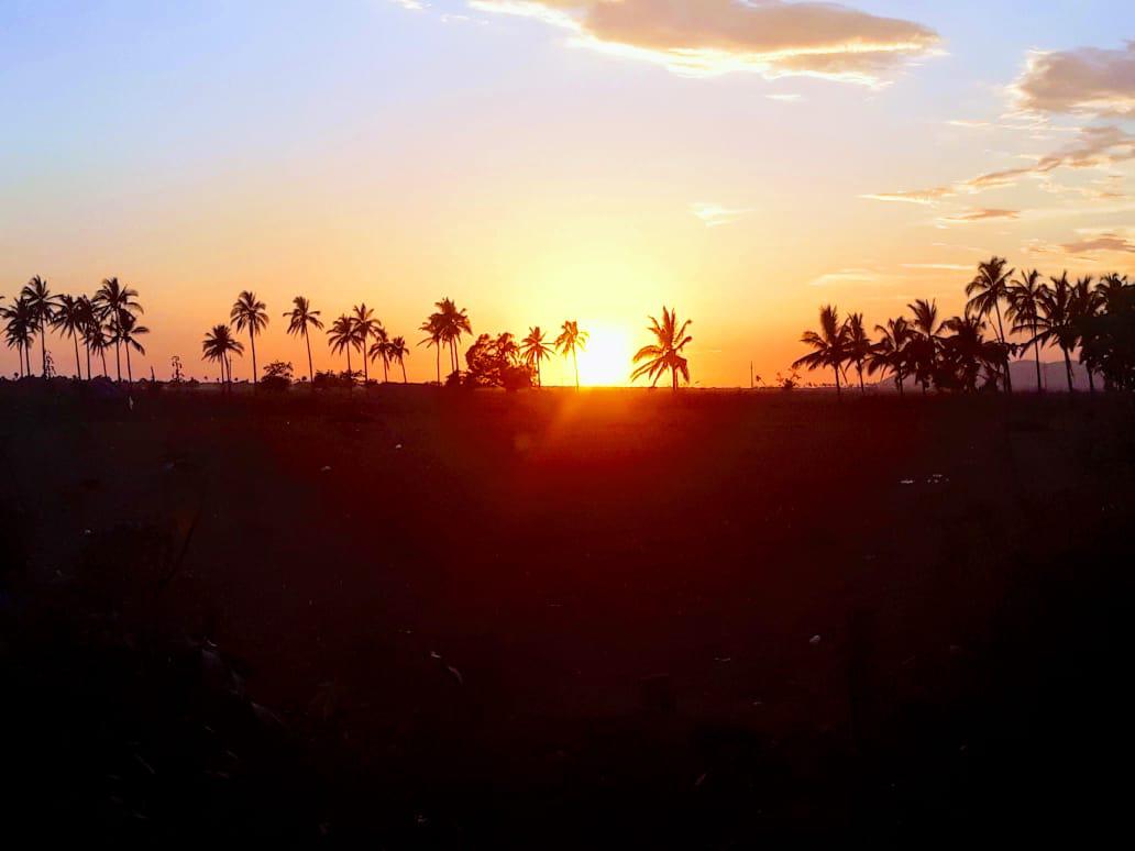 $!Escuinapa cumple 106 años como municipio, y su gente lo celebra a diario con sus sabores, sus tradiciones y sus paisajes de ensueño