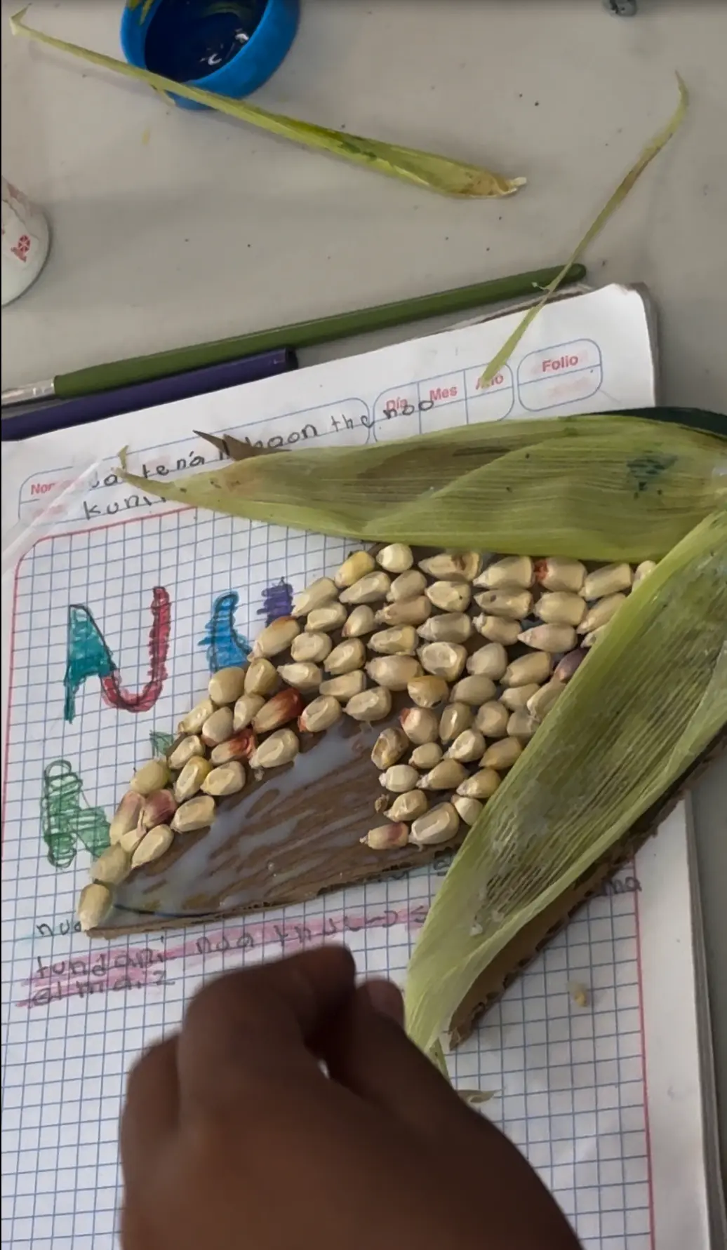$!Representación del maíz y escritura en ngiwa, hecho por infancias durante las Jornadas del Semillero de Saberes en las comunidades de San Marcos Tlacoyalco y San Mateo Zoyamazalco.