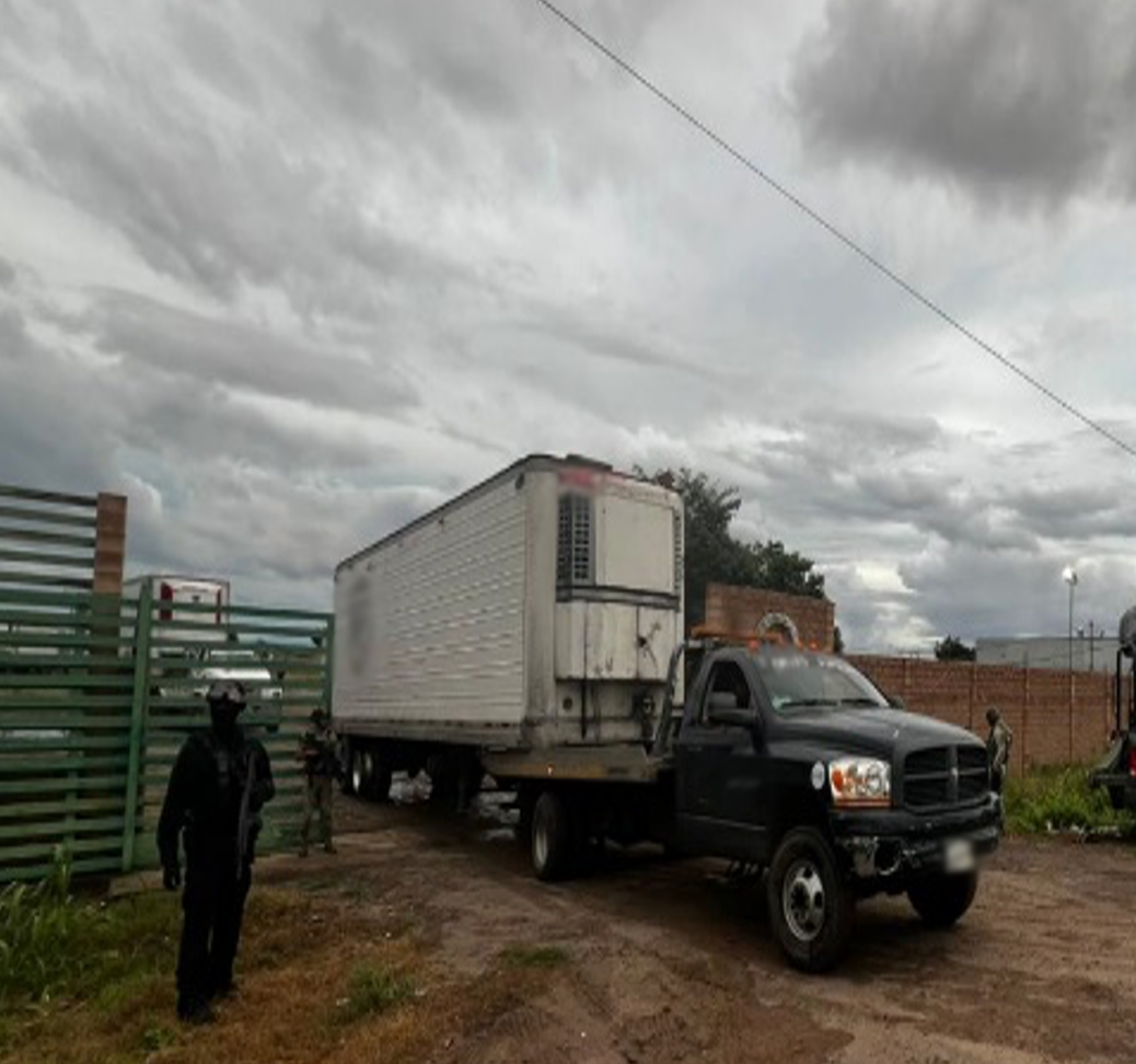 $!Aseguran tigres de bengala y vehículos durante cateo en inmueble de Culiacán