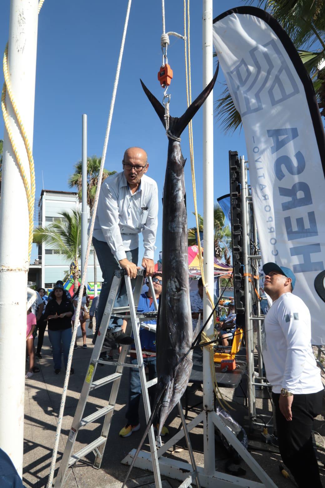 $!Nutrida participación de embarcaciones en Pacífic Marlin Cup 2025