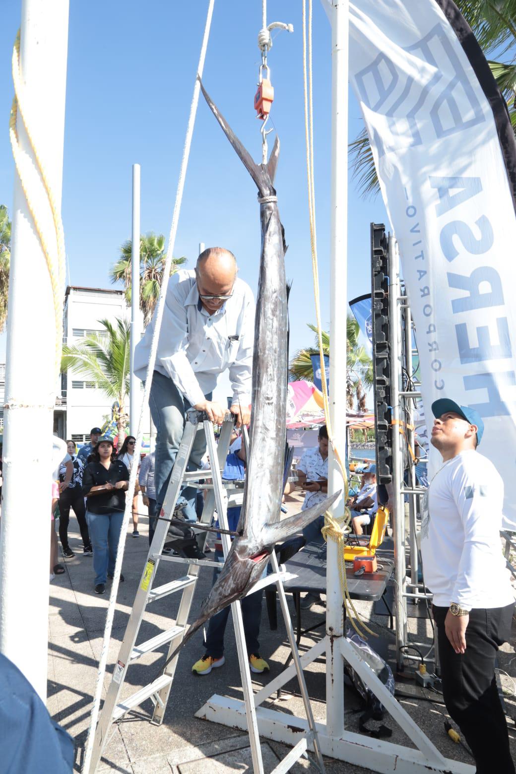 $!Nutrida participación de embarcaciones en Pacífic Marlin Cup 2025