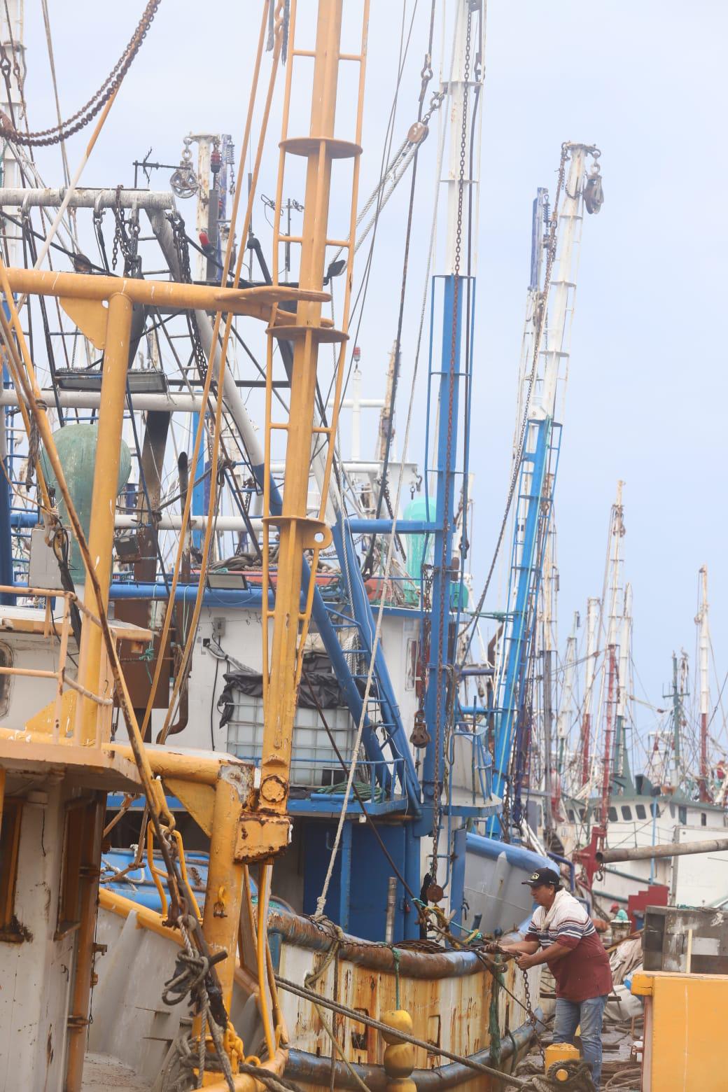 $!Pescadores denuncian saqueo de camarón de altamar por ribereños y aún no definen inicio de la zafra