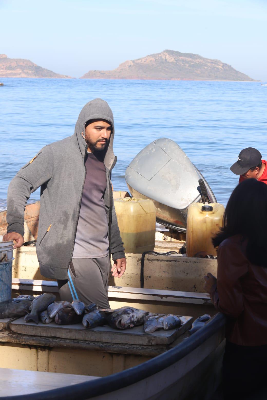 $!Pescadores en Mazatlán reportan buenas capturas al inicio de la Cuaresma