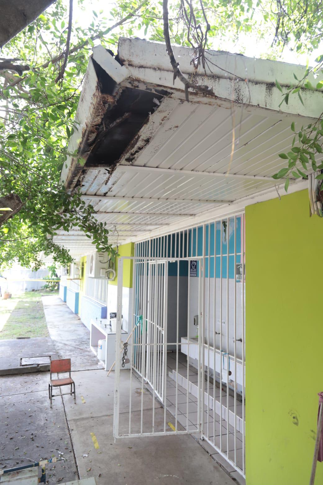 $!Enjambre de abejas obliga a suspender actividades en jardín de niños de Lomas de Mazatlán