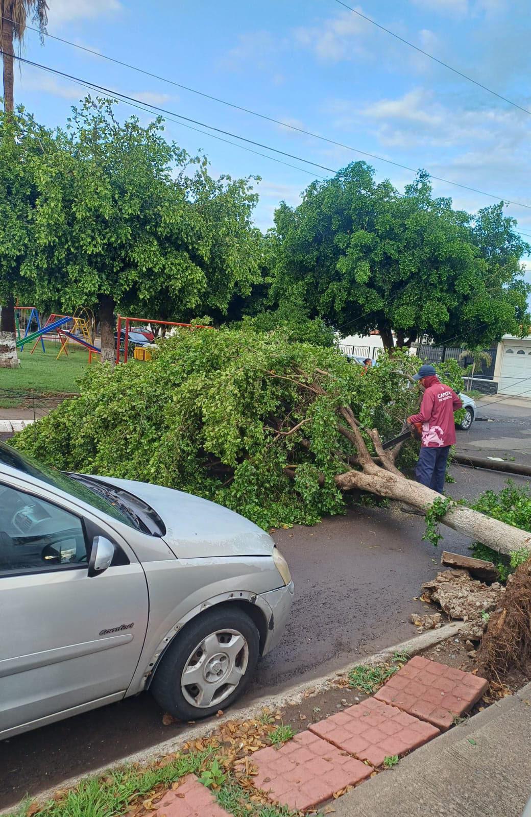 $!Retiran más de 1.4 toneladas de basura de rejillas tras lluvias en Culiacán