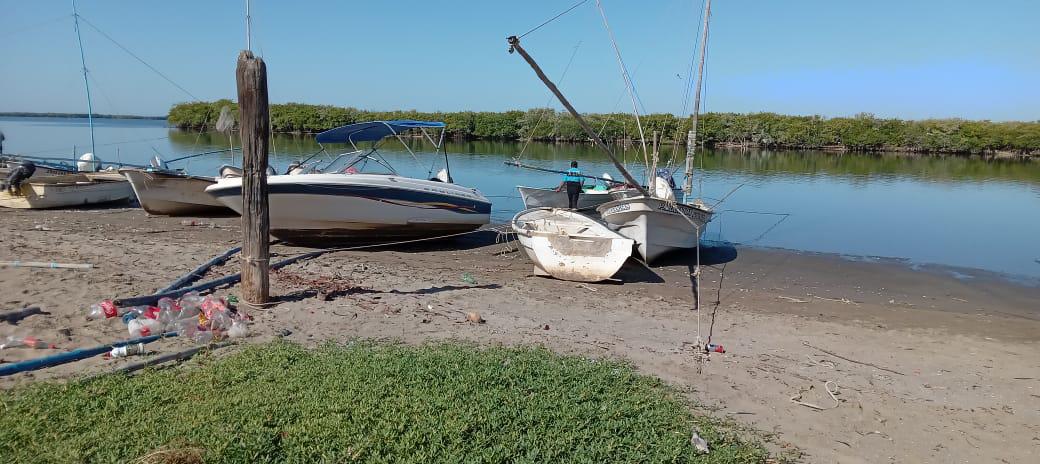 $!La mitad de granjas de camarón en Sinaloa no cuentan con permiso de siembra: Coades