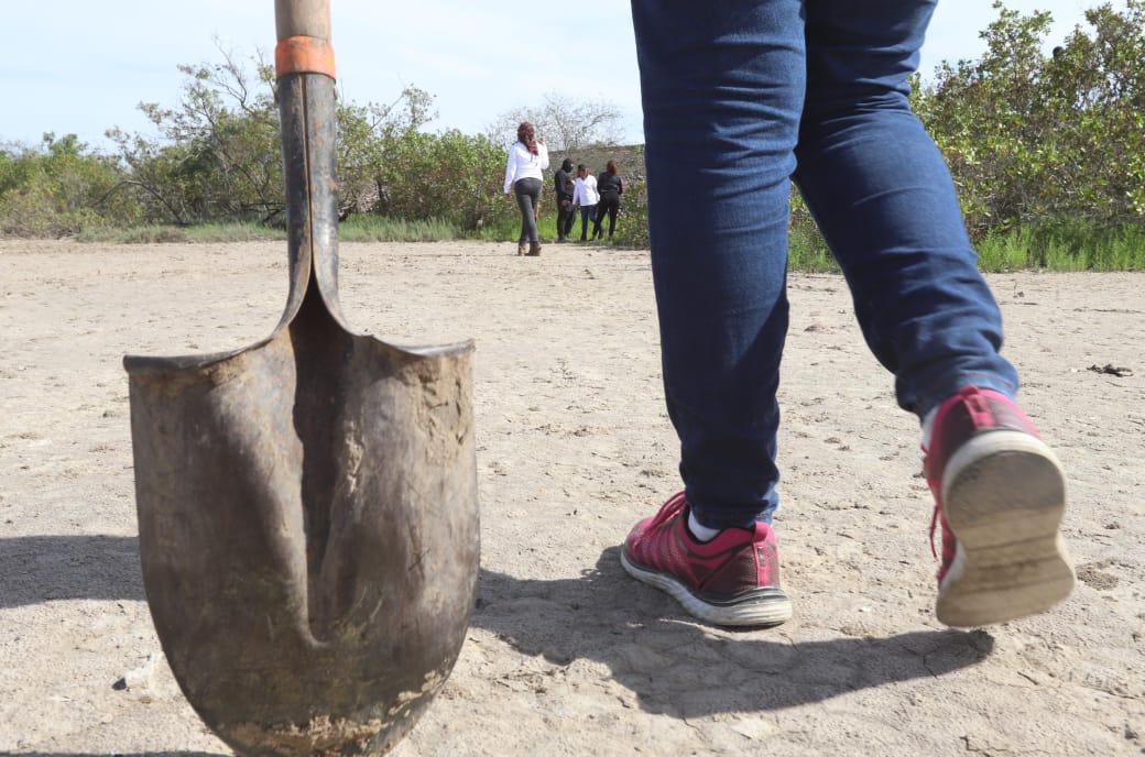 $!Encuentran rastreadoras dos puntos positivos al sur de Mazatlán