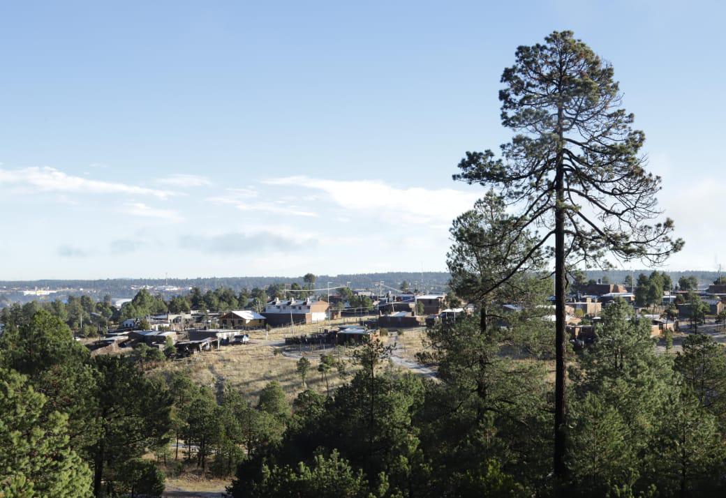 $!Escarcha y temperaturas bajo cero se registra en sierra de Durango