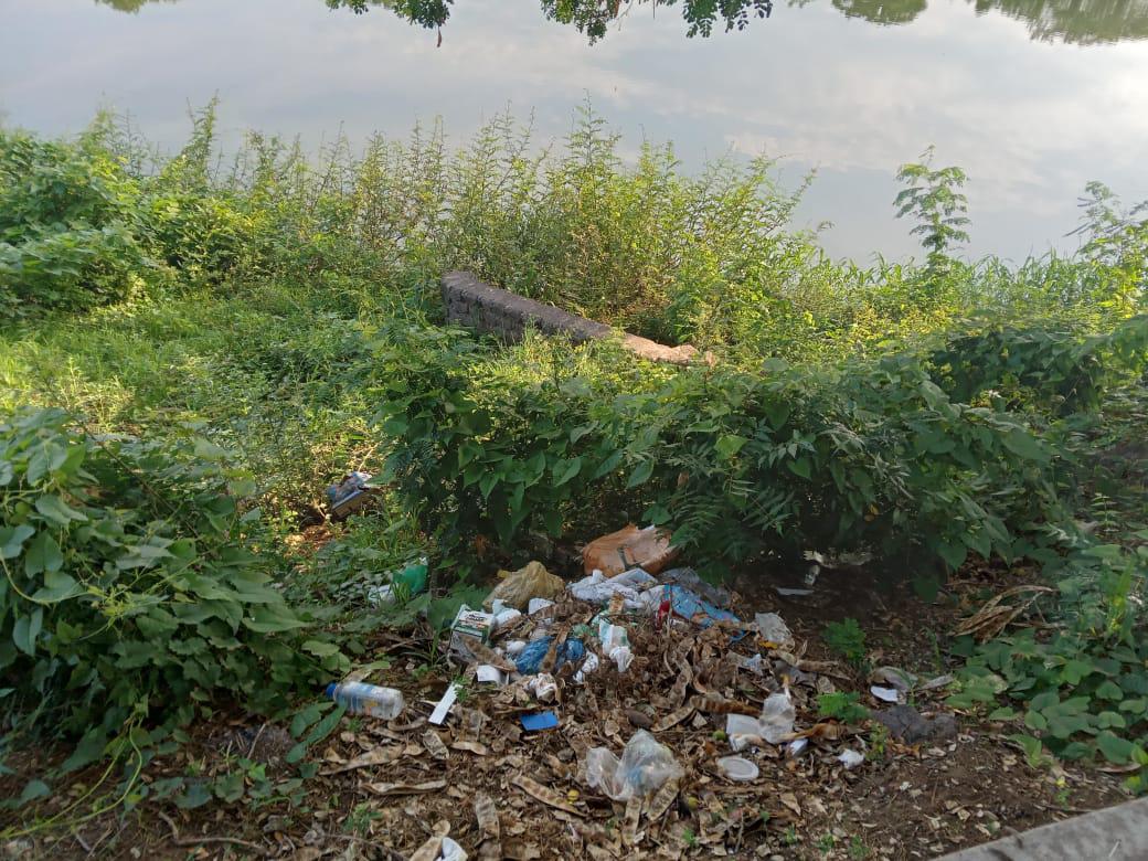 $!Lluvias arrastran basura a la Laguna del Iguanero, en Rosario
