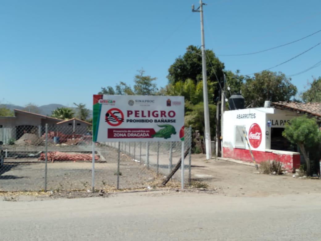 $!Gobierno de Culiacán alerta presencia de cocodrilos en Tepuchito