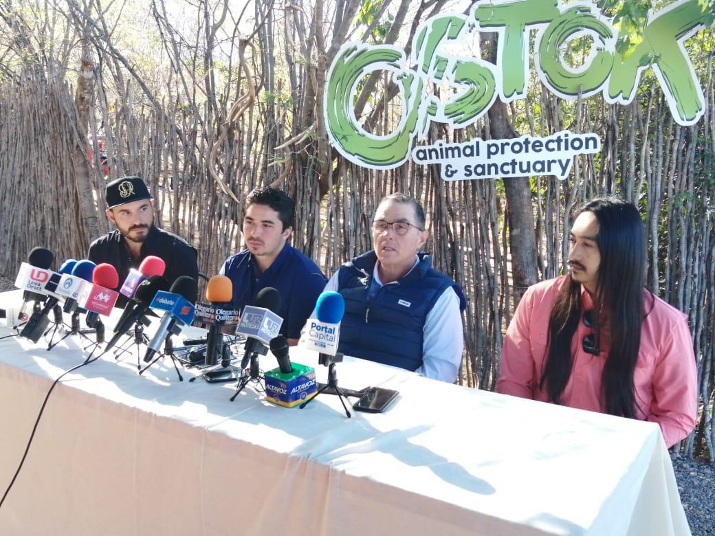 $!Buscan novia para el elefante ‘Big Boy’; tienen vista una hembra de 29 años