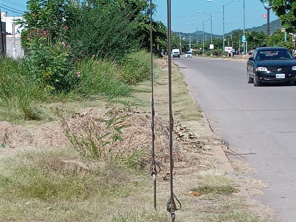 $!Cumple la basura en Mazatlán una semana en las calles y enfurece a colonos la falta de atención de Servicios Públicos Municipales