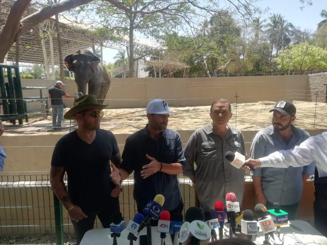 $!Desmiente activista supuesto maltrato al elefante ‘Big Boy’