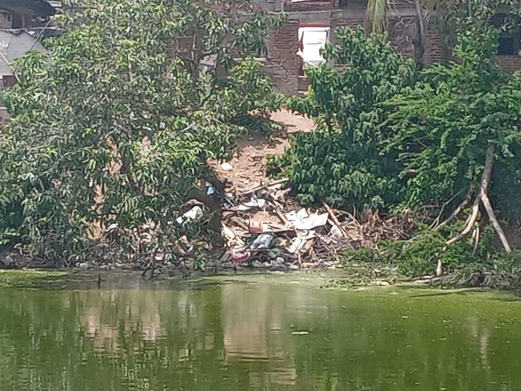$!Alertan por contaminación y mortandad de peces en laguna urbana de El Rosario