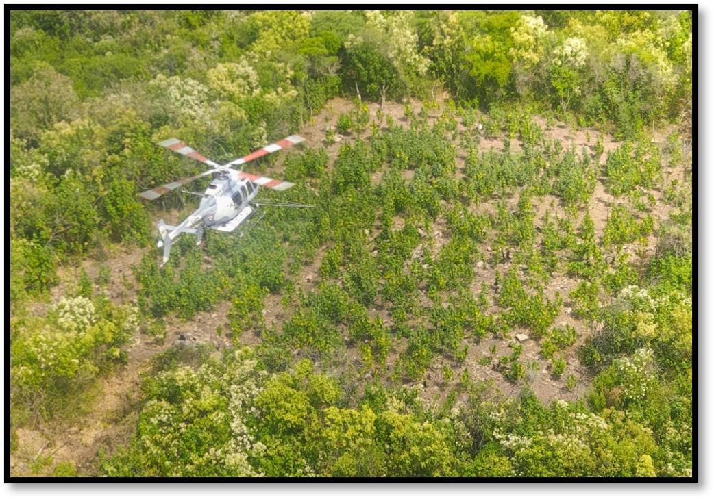 $!Aseguran mil 350 litros de químicos para fabricar droga en Cosalá