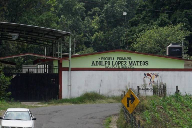 En Veracruz, comunidades denuncian que pesticidas para cultivo de papa amenazan su salud y un bosque de niebla