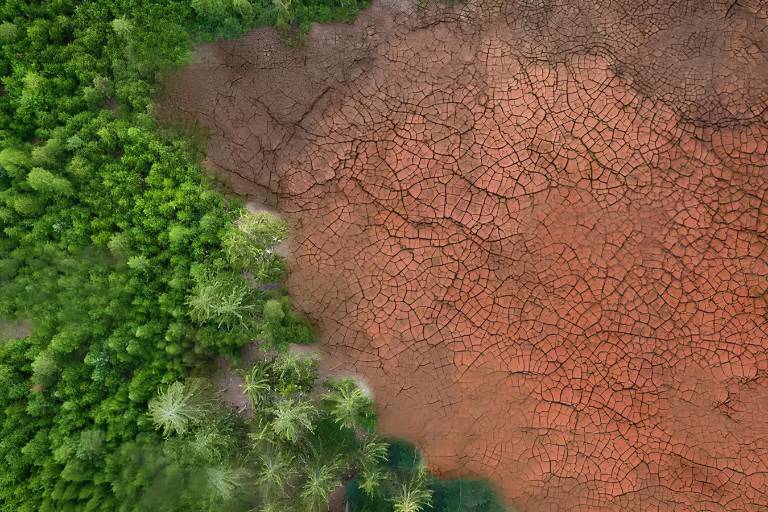 Llama la ONU a los países a restaurar las tierras y los ecosistemas degradados