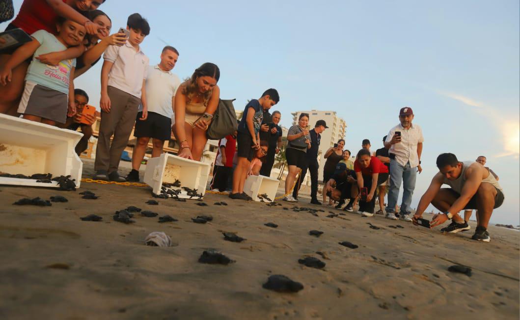 $!La liberación de tortugas se fusiona con el atardecer en Mazatlán