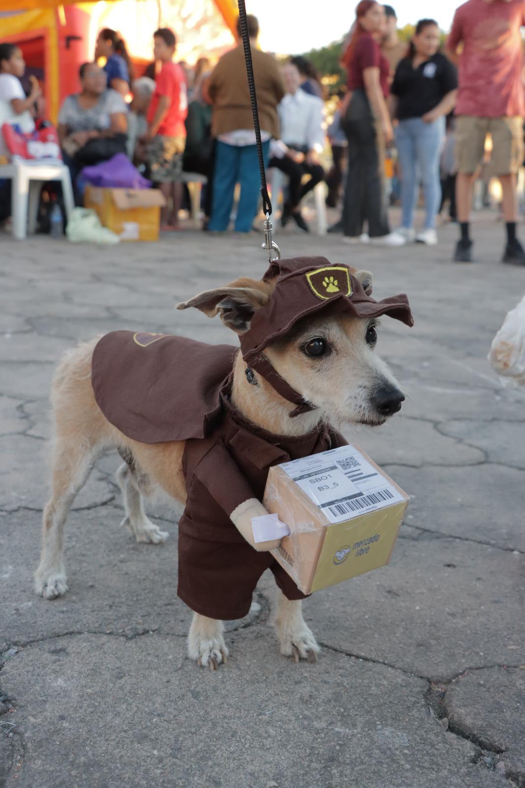 $!En Rosario también festejan el Día de la Familia