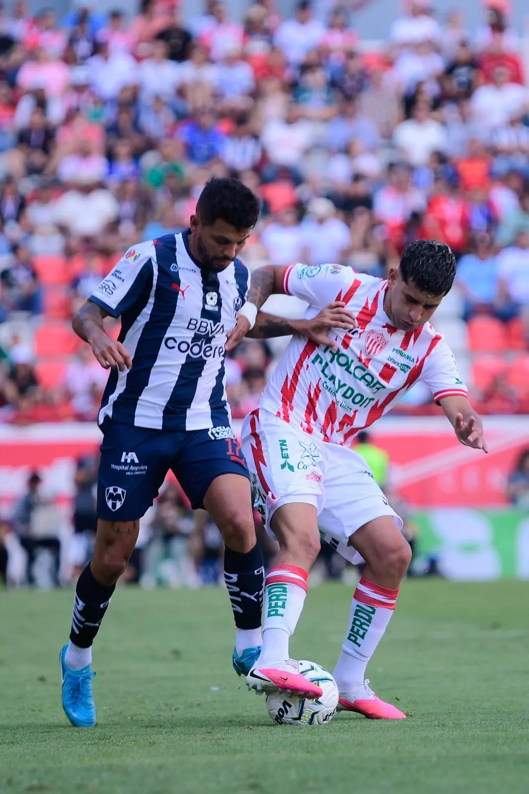 $!Necaxa vence a Monterrey con gol agónico y mantiene paso perfecto
