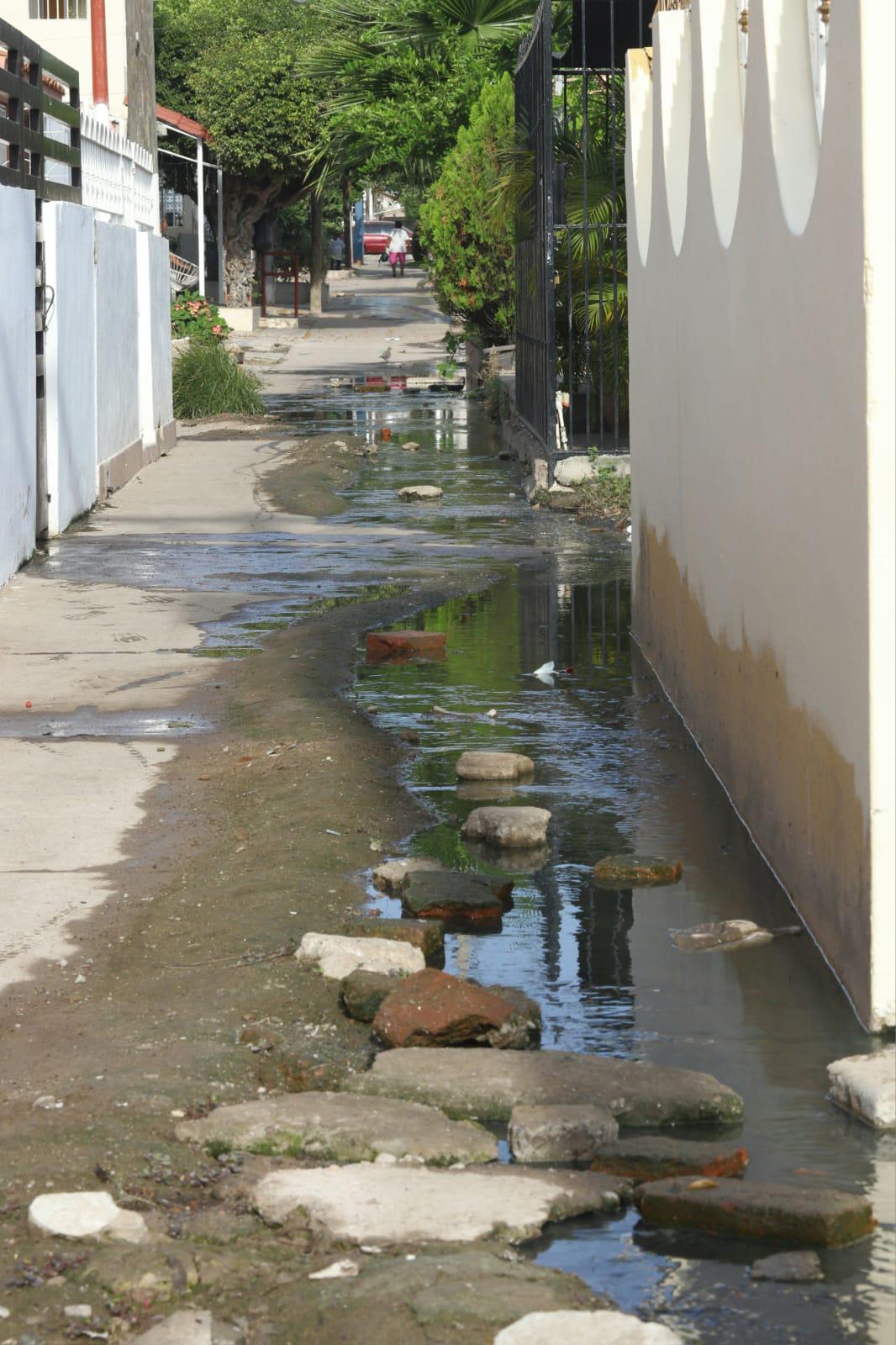 $!Pestilentes fugas ahogan a vecinos del Infonavit Jabalíes, en Mazatlán