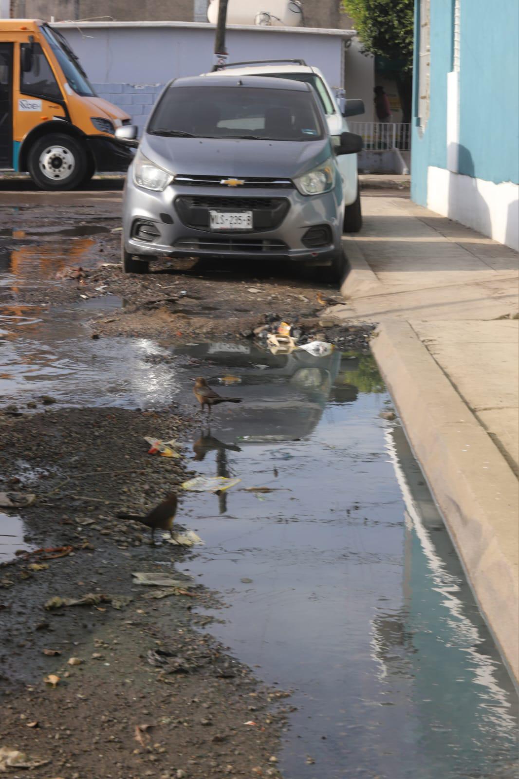 $!Pestilentes fugas ahogan a vecinos del Infonavit Jabalíes, en Mazatlán