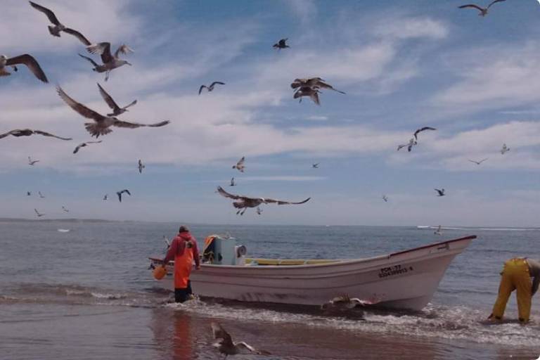 México se enfrenta a compañía de Estados Unidos que busca extraer fósforo del mar en Baja California Sur