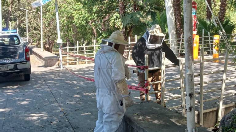 El grupo de elementos de Protección Civil llegó con vestimenta especial para controlar a las abejas.
