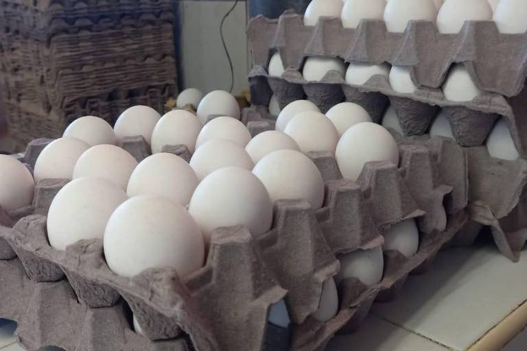 La carestía del huevo crea un mercado negro al alza en la frontera norte de México