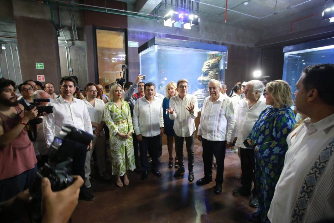 Inauguran el Gran Acuario Mazatlán Mar de Cortés, el más grande de ...