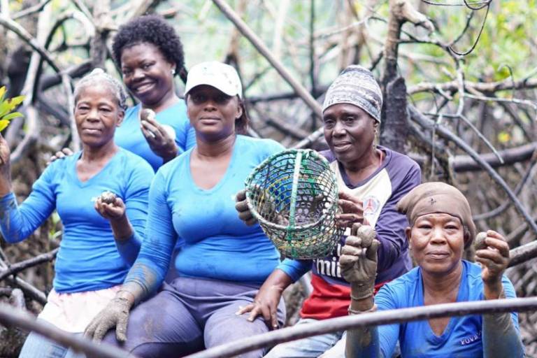 Pueblos afrodescendientes protegen bosques con más de 486 millones de toneladas de carbono en cuatro países amazónicos