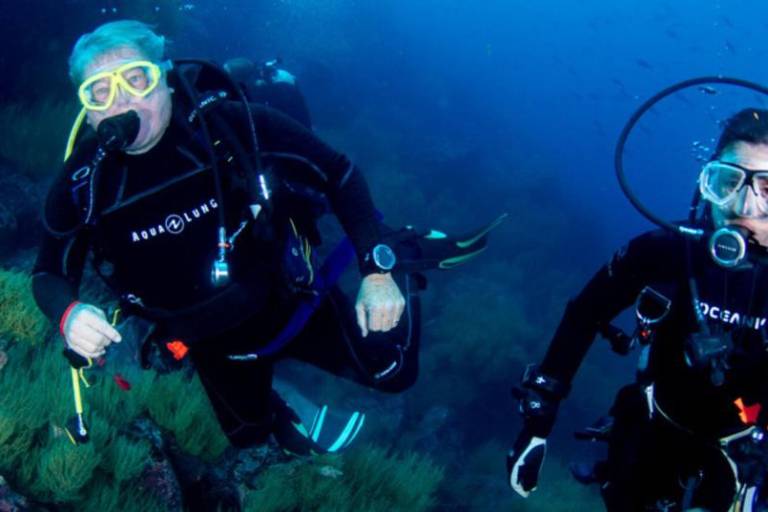 Galápagos: redescubren un coral solitario que se creía extinto y renueva la esperanza sobre la conservación marina