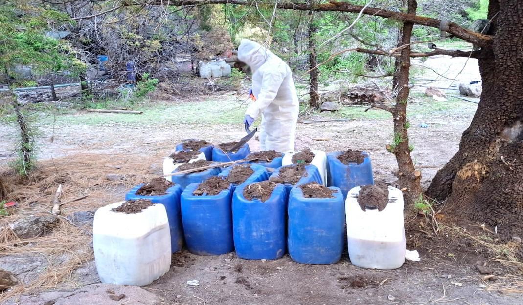 $!Pega Gobierno al narco: asegura precursores con que ganarían $11,623 millones en Badiraguato y Culiacán