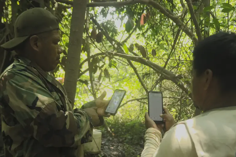 Día Internacional de los Pueblos Indígenas: inteligencia artificial para monitorear y defender los territorios ancestrales en Latinoamérica