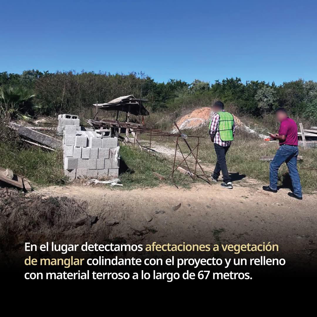 $!Profepa clausura torre en zona de manglar de la Marina en Mazatlán