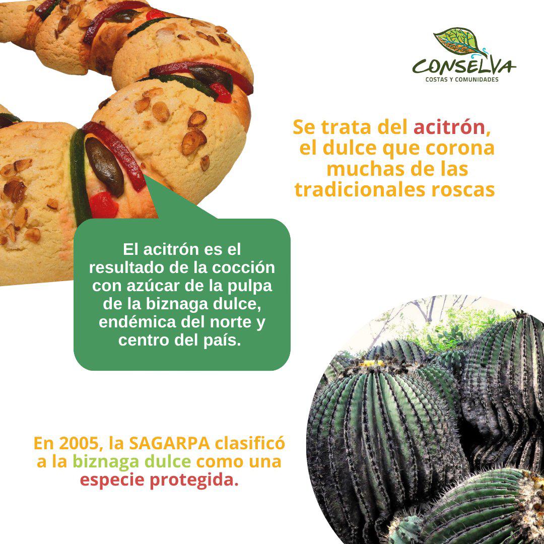 $!Este ingrediente de la Rosca de Reyes está en peligro de extinción y no deberías consumirlo