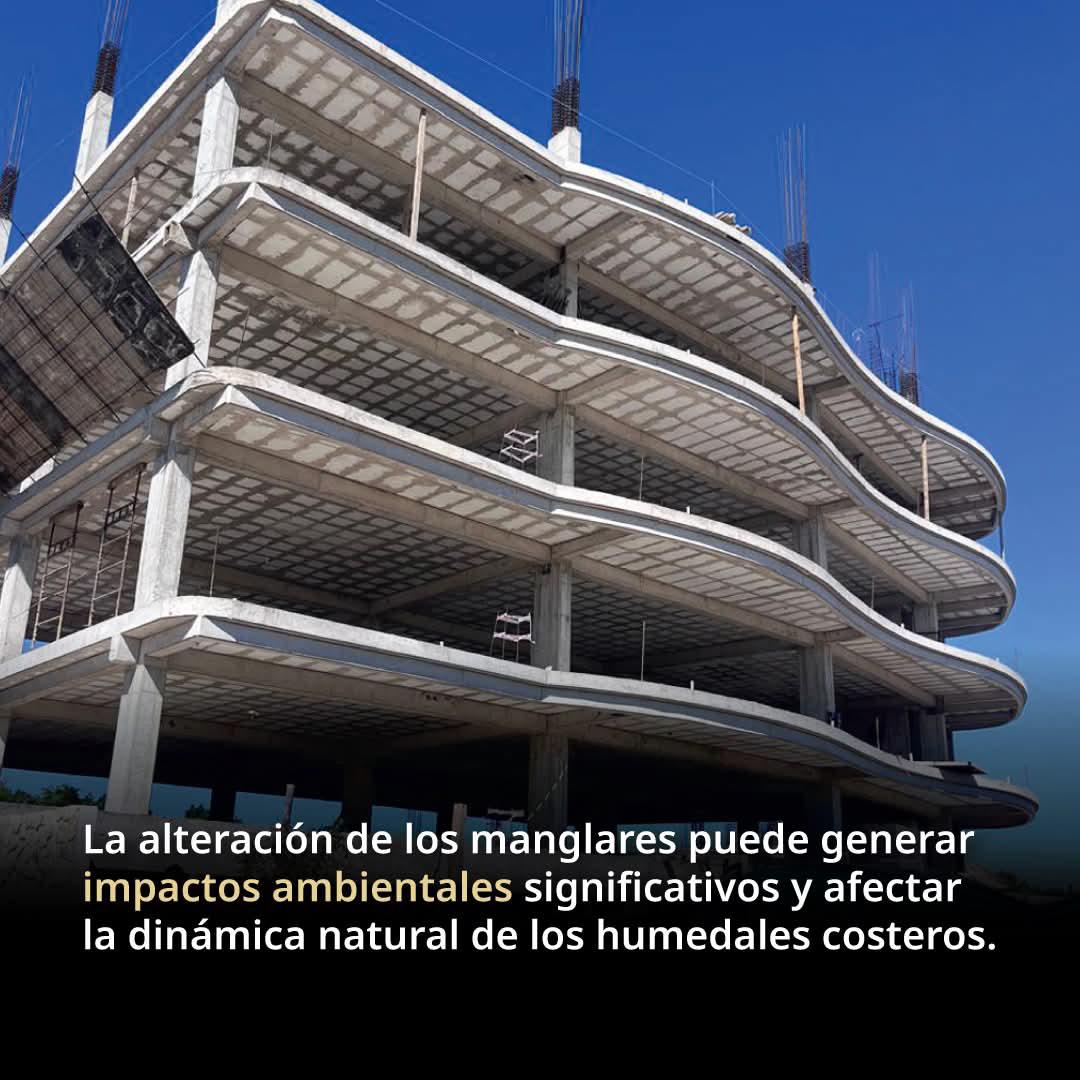 $!Profepa clausura torre en zona de manglar de la Marina en Mazatlán