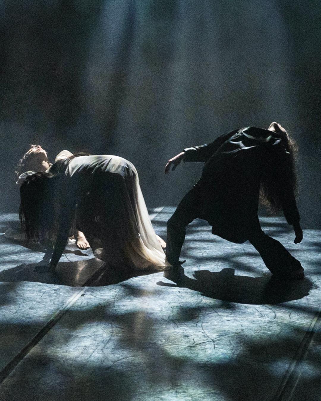 $!Un universo de movimiento, sonido y luz se abre en esta puesta en escena.