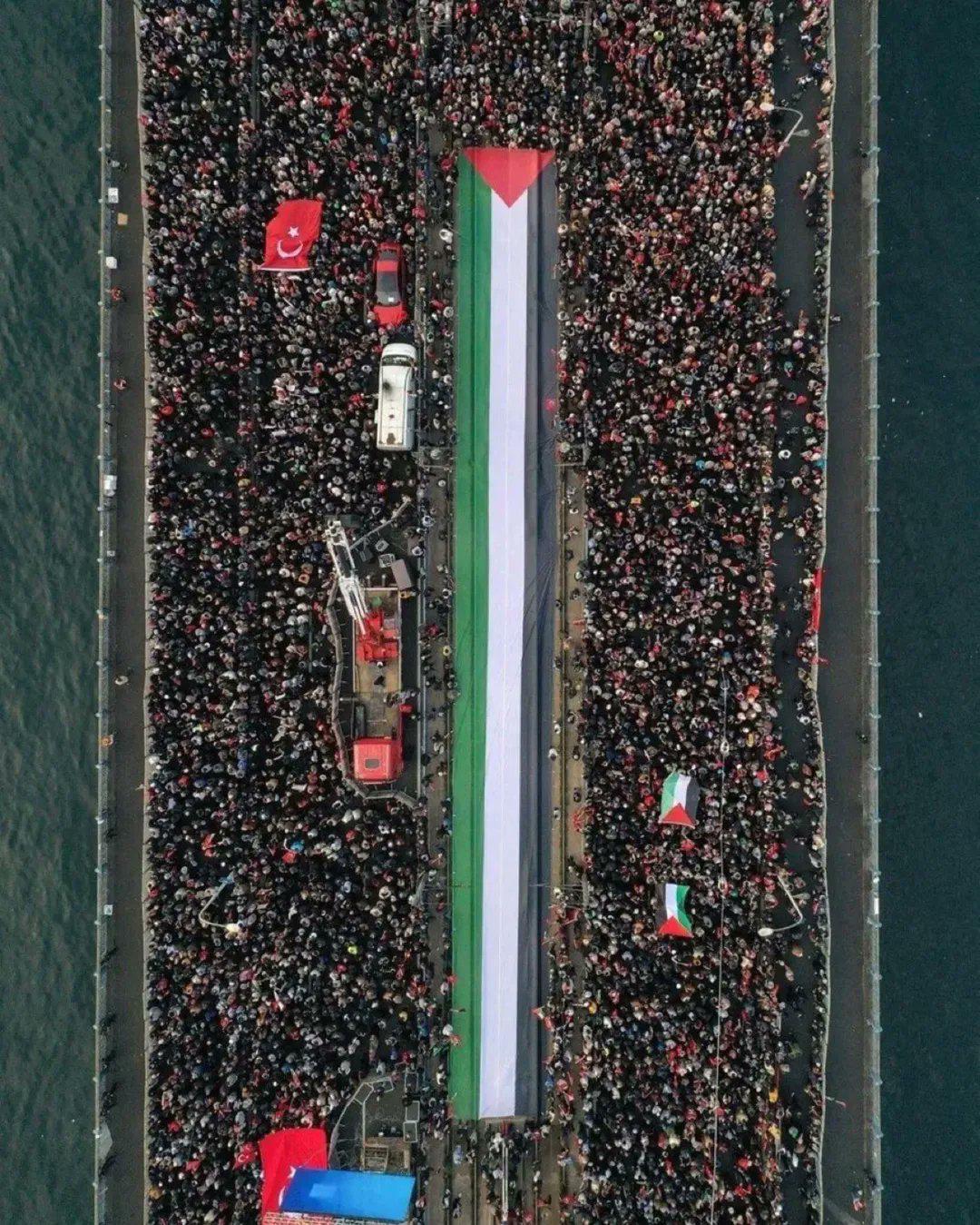 $!Activistas de 50 países llegaron a Egipto para protestar contra el genocidio; fueron recibidos con represión