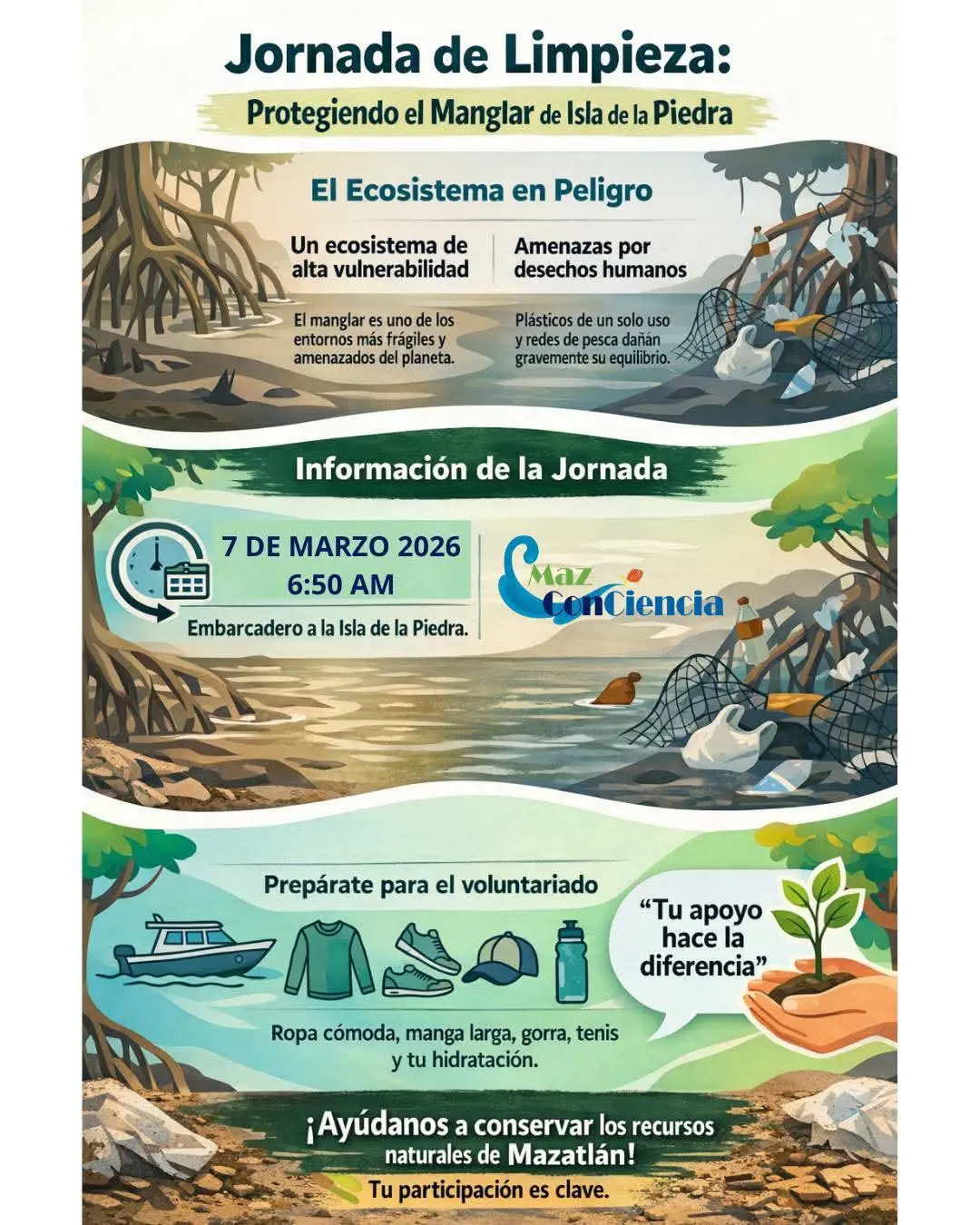 $!Invita MazConCiencia a participar en una nueva jornada de limpieza en el manglar de la Isla de la Piedra
