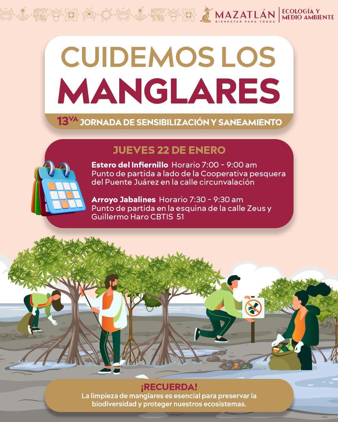 $!Regresan este jueves las jornadas de saneamiento del programa ‘Cuidemos los Manglares’