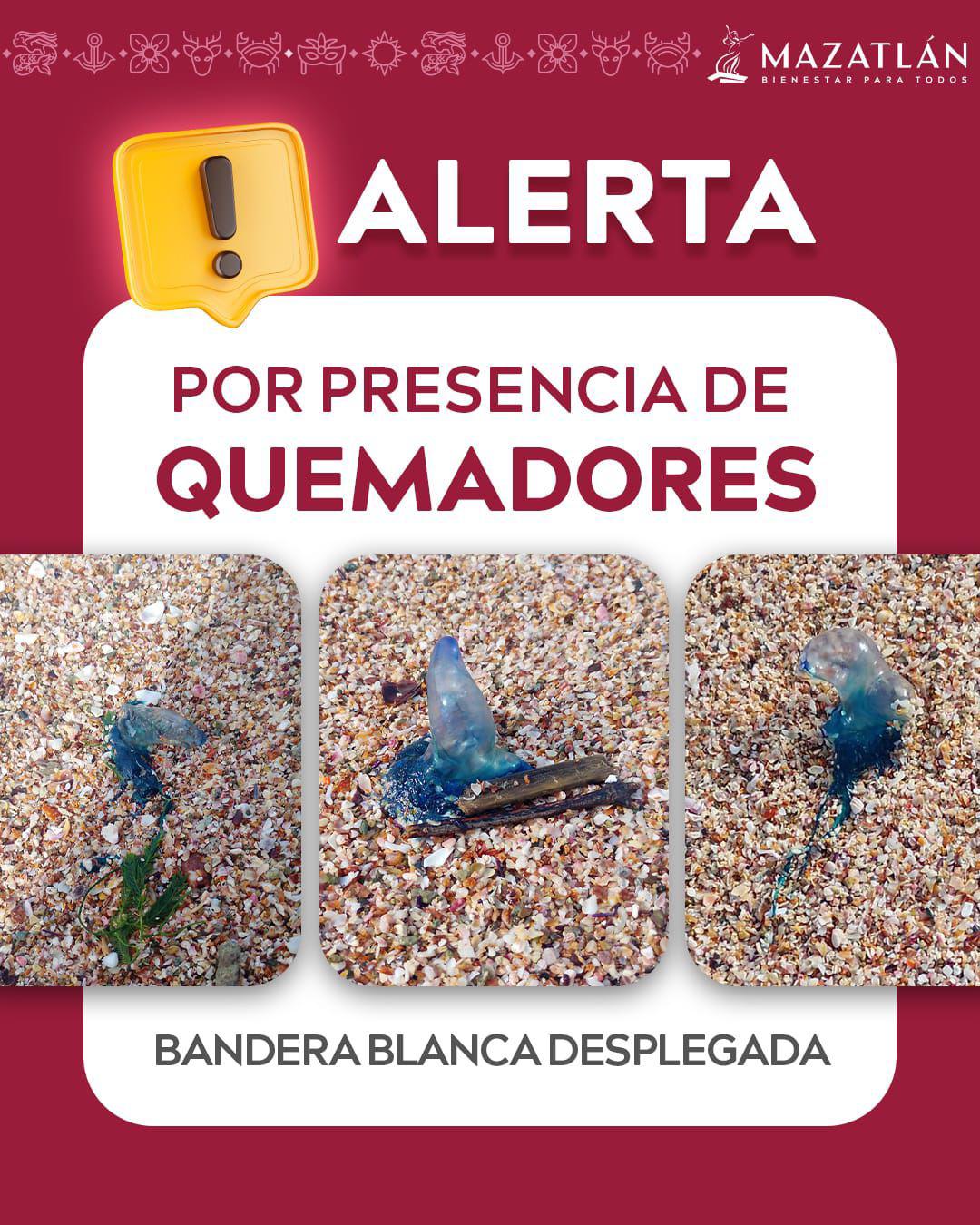 $!Alertan sobre la presencia de quemadores en playas de Mazatlán