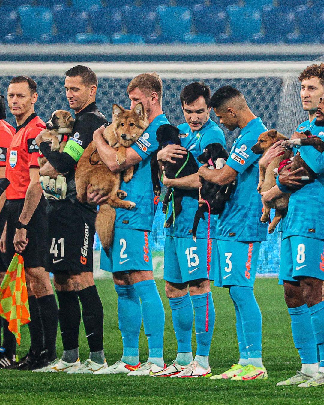 $!El Zenit entra a la cancha con ‘lomitos’ para incentivar la adopción de perros