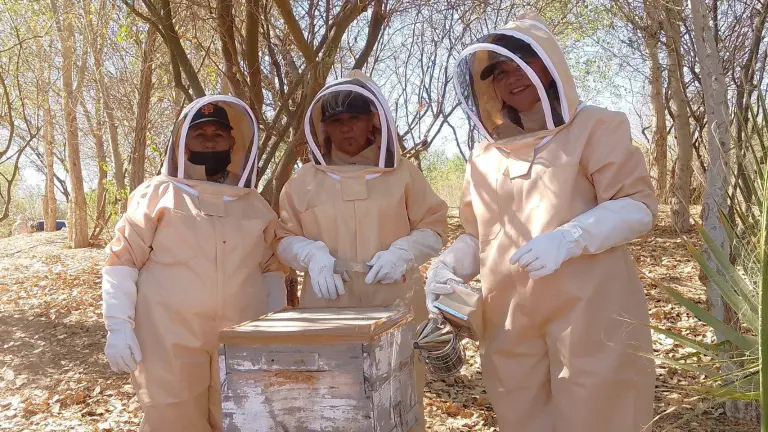 Amelia Chan Díaz (derecha), su hermana Gabriela y su compañera Francisca Zavala Hernández realizando manejo de colmenas.
