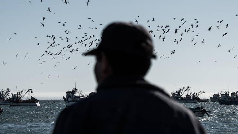 Pescadores artesanales se encuentran atrapados entre extorsiones y tráfico de drogas en Perú y Ecuador.