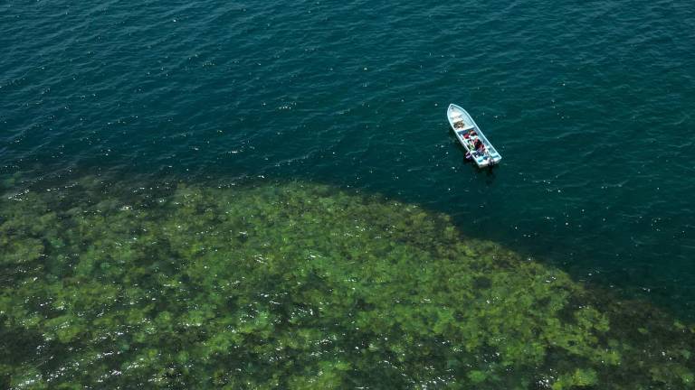 En la comunidad de Zapotitlán se encuentran dos de los 32 arrecifes del sistema arrecifal de Los Tuxtlas.