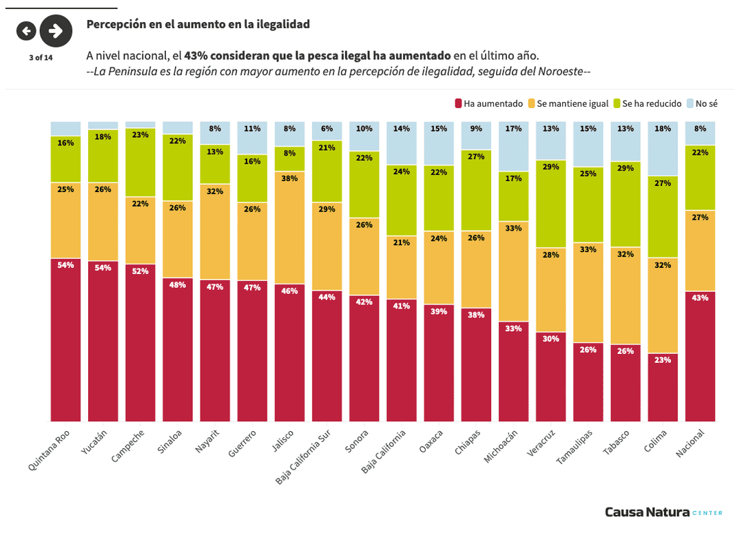 $!El 79% del sector pesquero considera que hay pesca ilegal en sus comunidades: CN Center