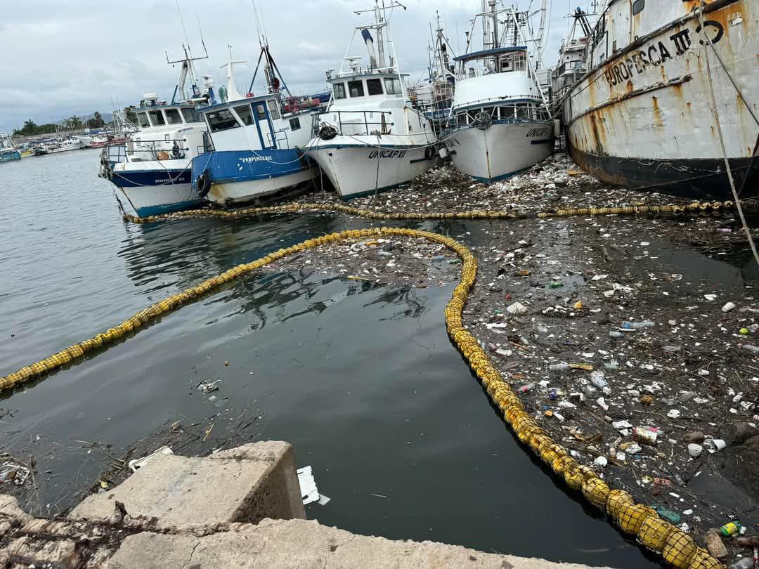$!MazConCiencia cumple seis años de incansable lucha por el cuidado ambiental de Mazatlán
