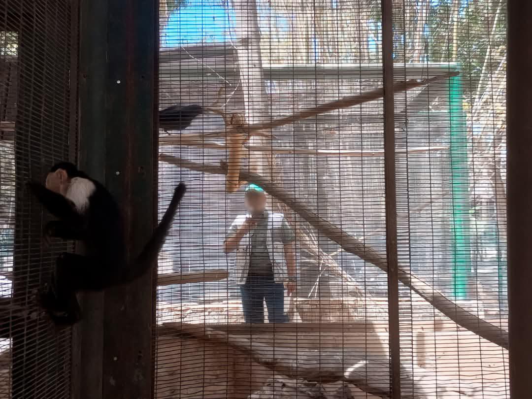 $!Asegura Profepa 119 ejemplares del Zoológico de Culiacán