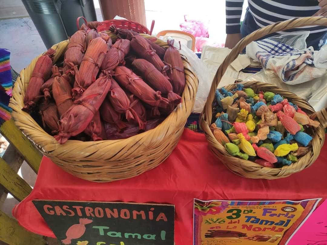 $!Pueblo Señorial de La Noria invita a su Feria del Tamal